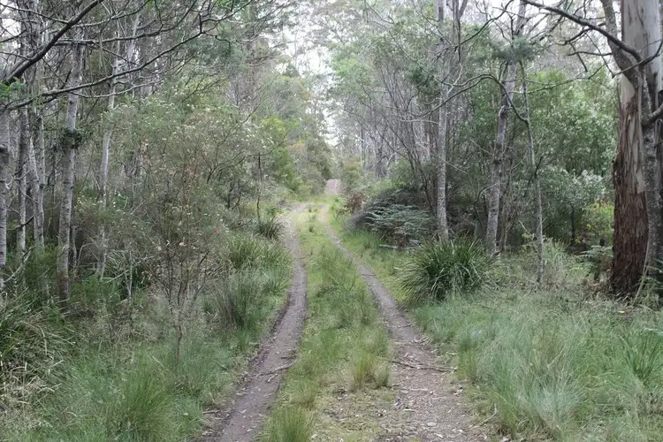 Fourth view of Homely land listing, 237 Elephant Pass Road, St Marys TAS 7215