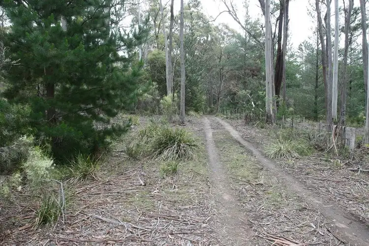 Fifth view of Homely land listing, 237 Elephant Pass Road, St Marys TAS 7215