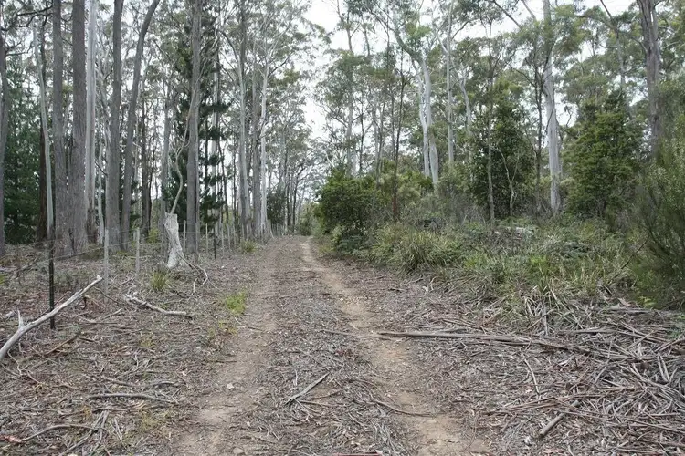 Sixth view of Homely land listing, 237 Elephant Pass Road, St Marys TAS 7215