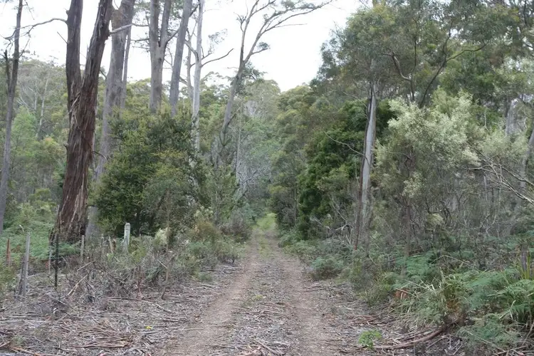Seventh view of Homely land listing, 237 Elephant Pass Road, St Marys TAS 7215