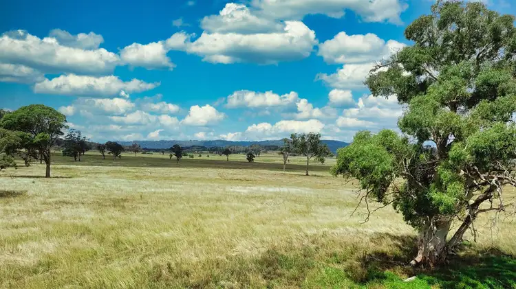 Sixth view of Homely rural property listing, Lot 20/298 Mount View Road, Clandulla NSW 2848