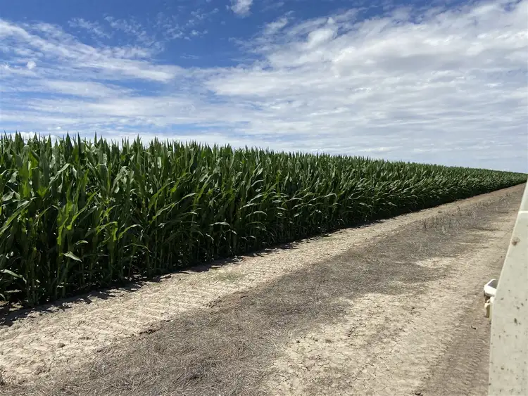 Second view of Homely rural property listing, "Whiporie Park" 1537ha - 3793ac, Conargo NSW 2710