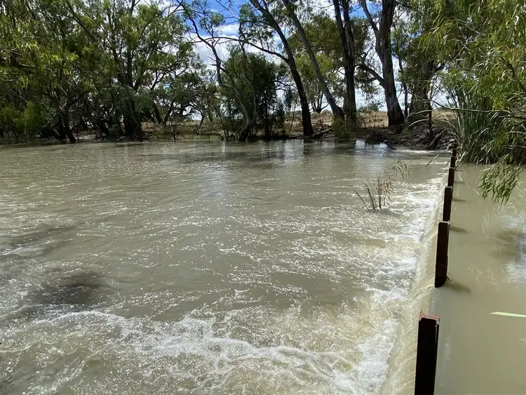 Fourth view of Homely rural property listing, "Whiporie Park" 1537ha - 3793ac, Conargo NSW 2710