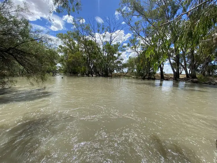 Fifth view of Homely rural property listing, "Whiporie Park" 1537ha - 3793ac, Conargo NSW 2710