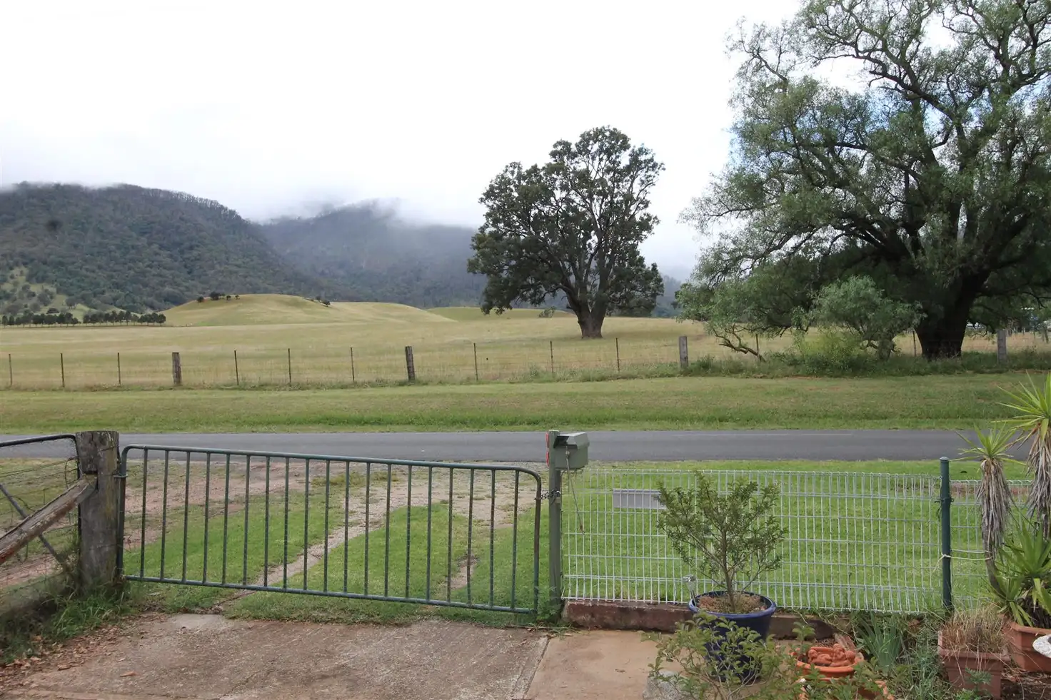 Main view of Homely rural property listing, 5911 Main Road, Braidwood NSW 2622