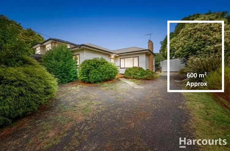 16 Carinya Road, Vermont VIC 3133