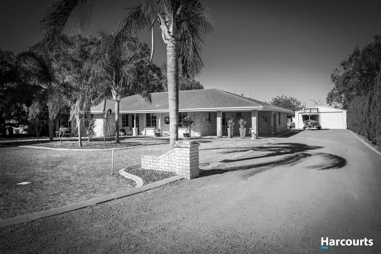 17 Branchfield Way, Falcon WA 6210