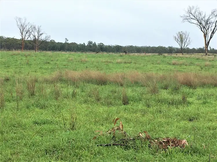 Second view of Homely rural property listing, . "Glenolive", Injune QLD 4454