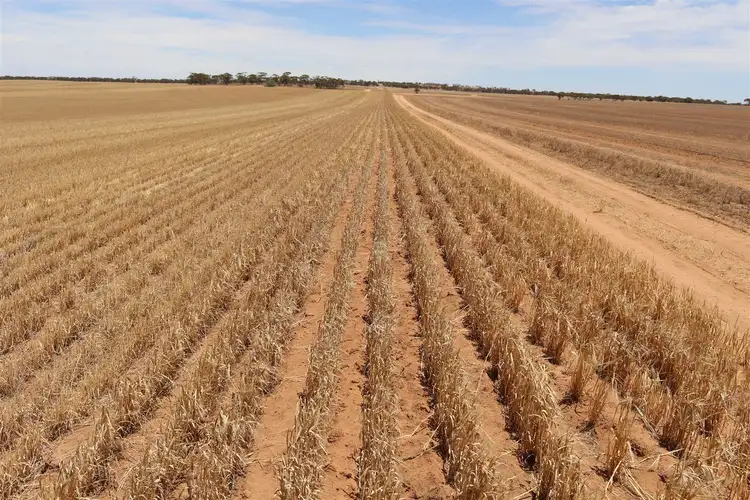 Third view of Homely rural property listing, . North Five Chain Road, Murrayville VIC 3512