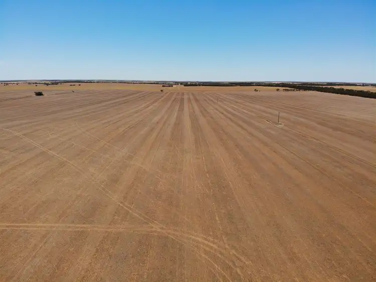 Sixth view of Homely rural property listing, . North Five Chain Road, Murrayville VIC 3512