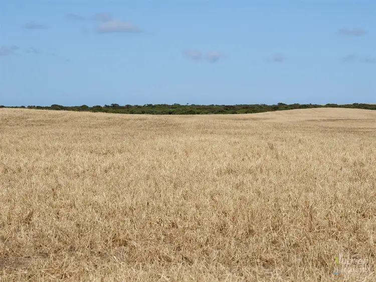 Main view of Homely rural property listing, Sect. 147 Yorke Highway, Foul Bay SA 5577