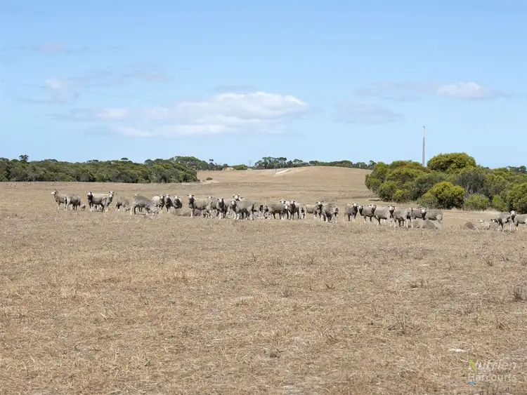 Third view of Homely rural property listing, Sect. 147 Yorke Highway, Foul Bay SA 5577