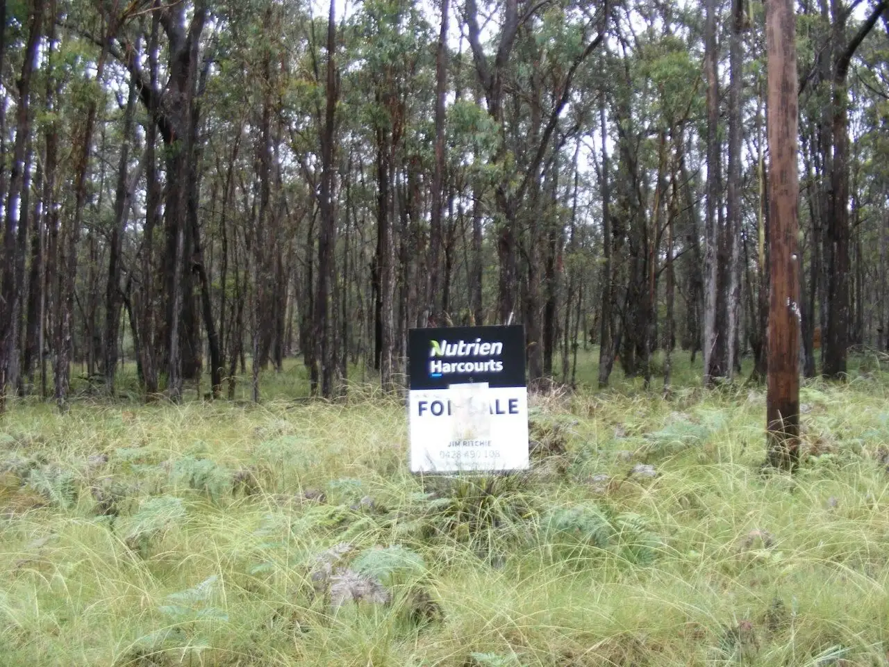 Main view of Homely rural property listing, Lot 7/1000 Tablelands Road, Red Range NSW 2370