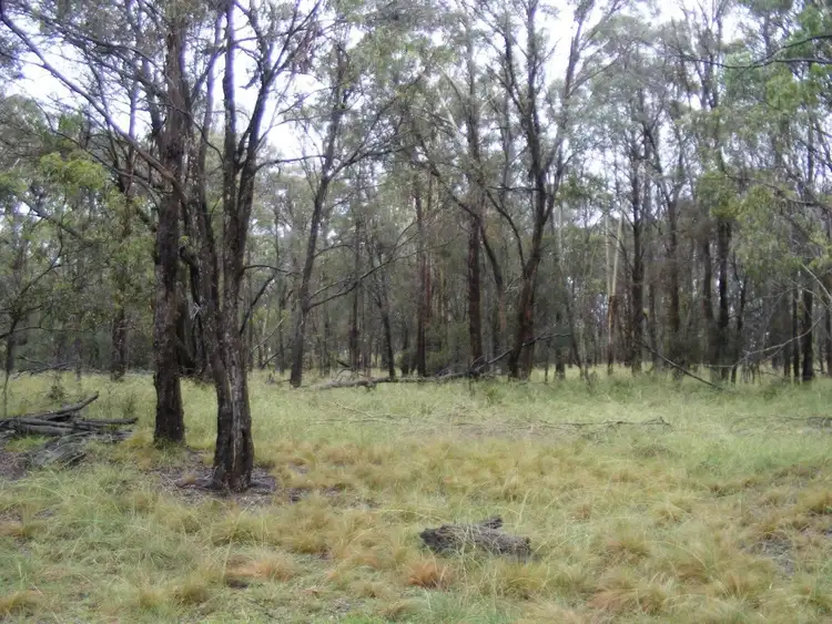 Second view of Homely rural property listing, Lot 7/1000 Tablelands Road, Red Range NSW 2370