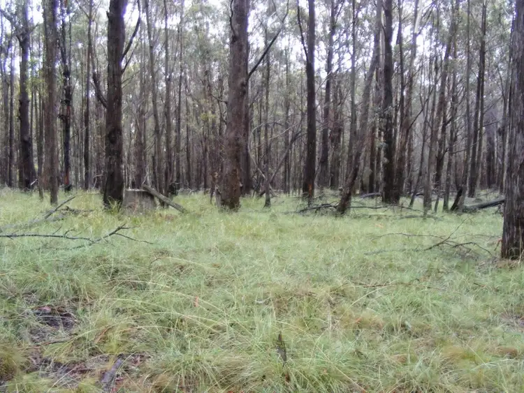 Fourth view of Homely rural property listing, Lot 7/1000 Tablelands Road, Red Range NSW 2370