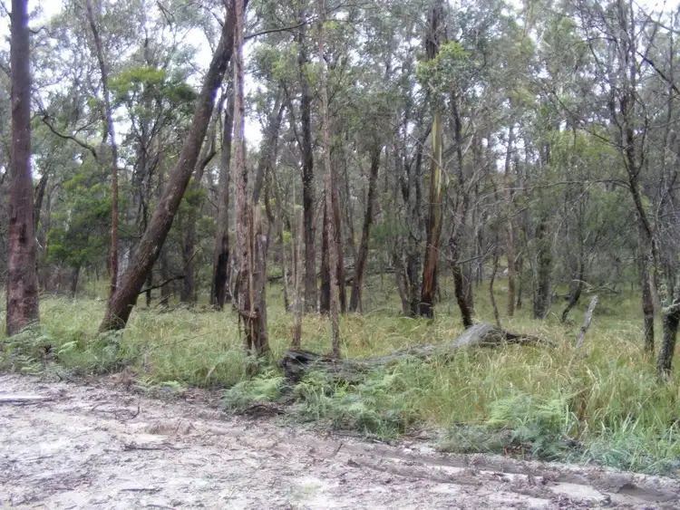 Sixth view of Homely rural property listing, Lot 7/1000 Tablelands Road, Red Range NSW 2370