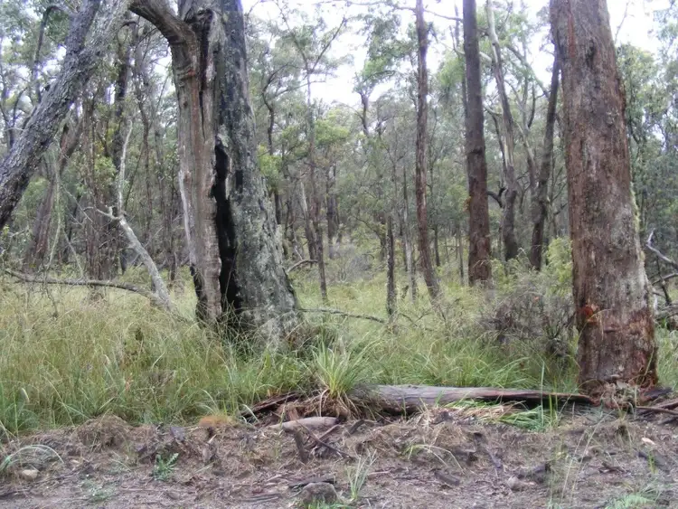 Seventh view of Homely rural property listing, Lot 7/1000 Tablelands Road, Red Range NSW 2370