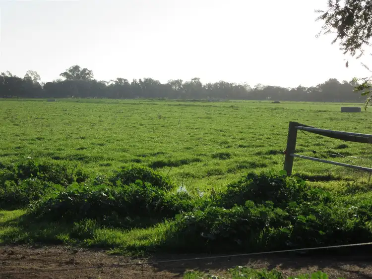 Second view of Homely rural property listing, 310 Delaney Road, Invergordon VIC 3636