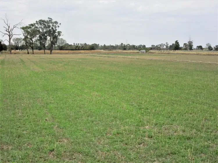 Third view of Homely rural property listing, 310 Delaney Road, Invergordon VIC 3636