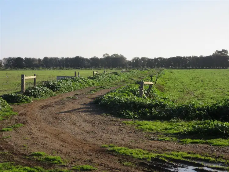 Fifth view of Homely rural property listing, 310 Delaney Road, Invergordon VIC 3636