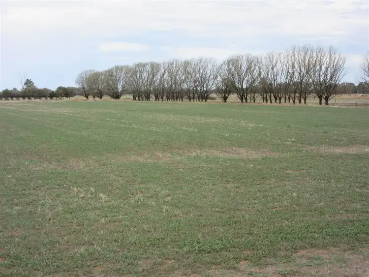 Sixth view of Homely rural property listing, 310 Delaney Road, Invergordon VIC 3636