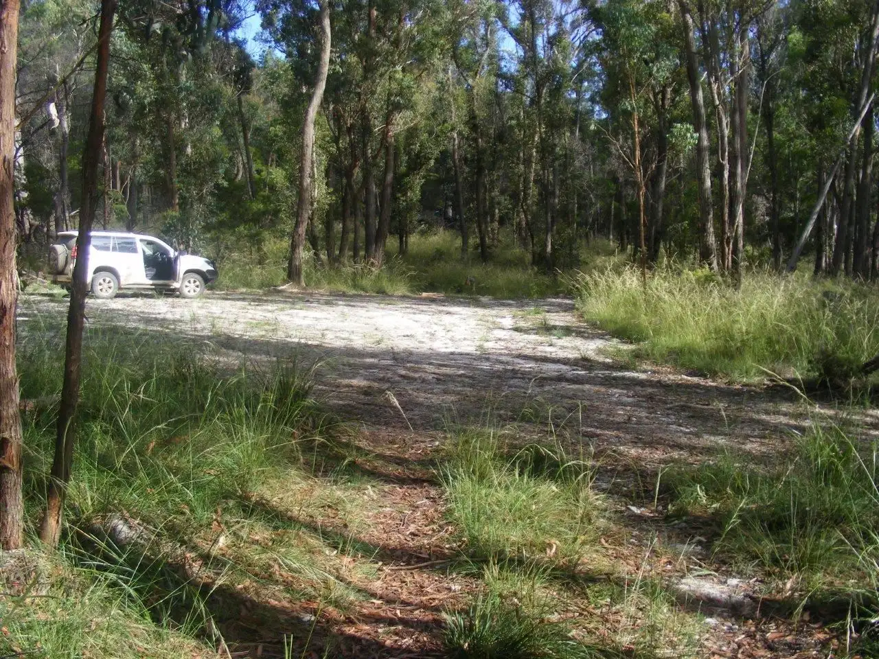 Main view of Homely rural property listing, 1/1000 Tablelands Road, Red Range NSW 2370