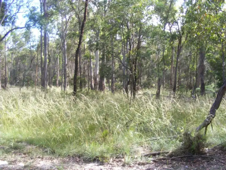 Third view of Homely rural property listing, 1/1000 Tablelands Road, Red Range NSW 2370