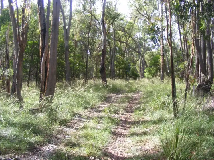 Fourth view of Homely rural property listing, 1/1000 Tablelands Road, Red Range NSW 2370
