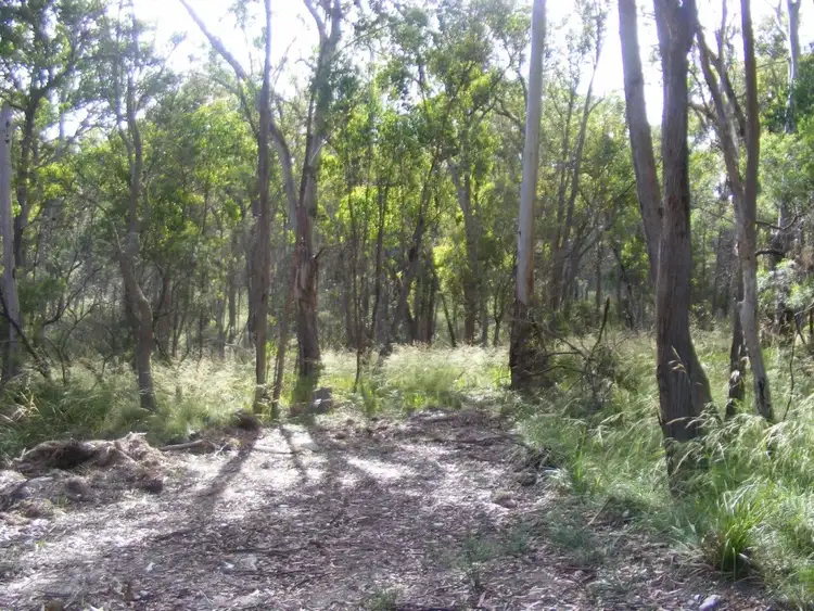 Fifth view of Homely rural property listing, 1/1000 Tablelands Road, Red Range NSW 2370