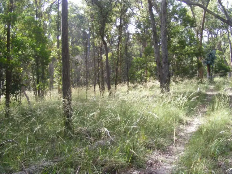 Sixth view of Homely rural property listing, 1/1000 Tablelands Road, Red Range NSW 2370