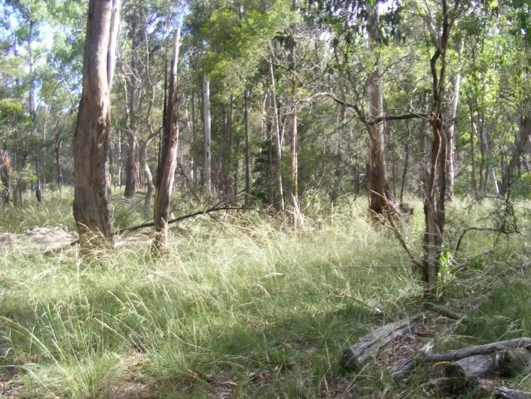 Seventh view of Homely rural property listing, 1/1000 Tablelands Road, Red Range NSW 2370