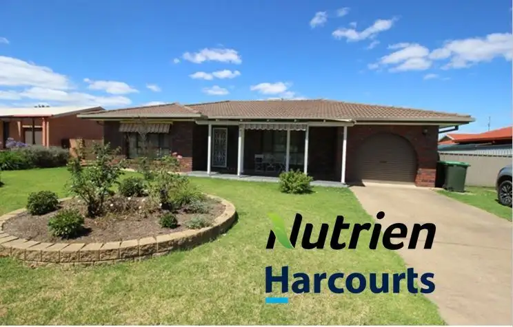 Main view of Homely house listing, 13 Minkara Avenue, Cootamundra NSW 2590