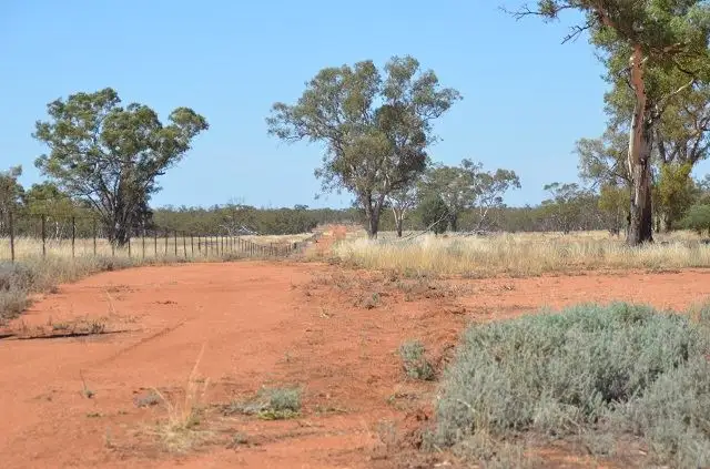 Third view of Homely rural property listing, * Stanifords, Mount Hope NSW 2877