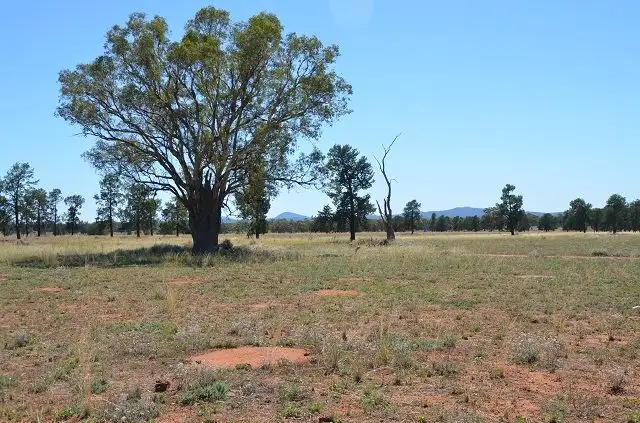 Fifth view of Homely rural property listing, * Stanifords, Mount Hope NSW 2877