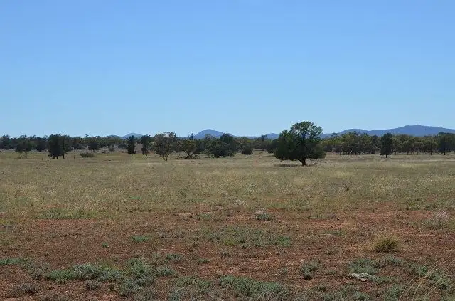 Sixth view of Homely rural property listing, * Stanifords, Mount Hope NSW 2877