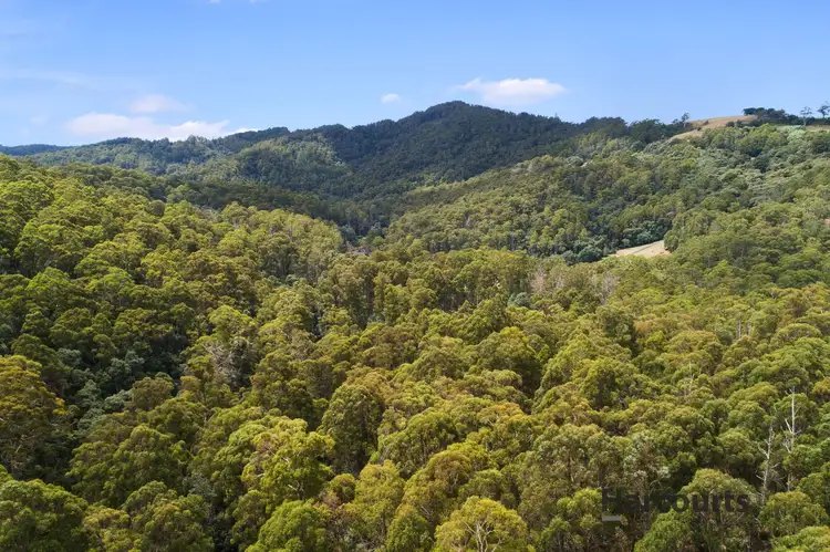 Second view of Homely land listing, 21 Bannons Bridge Road, Gunns Plains TAS 7315