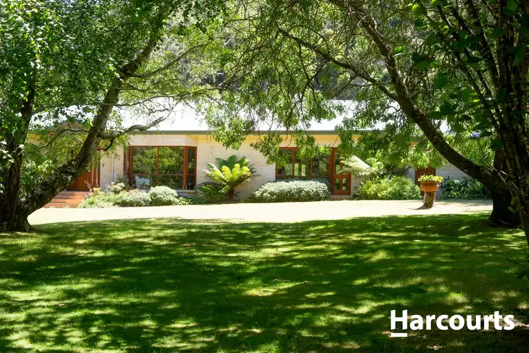 Second view of Homely rural property listing, 40 Gulf Road, Liffey TAS 7301