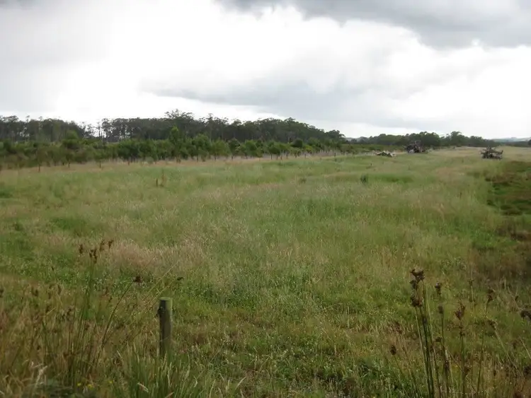 Second view of Homely rural property listing, 184 Dixons Road, Christmas Hills TAS 7330
