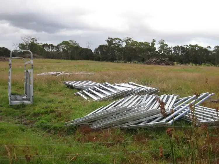 Fifth view of Homely rural property listing, 184 Dixons Road, Christmas Hills TAS 7330