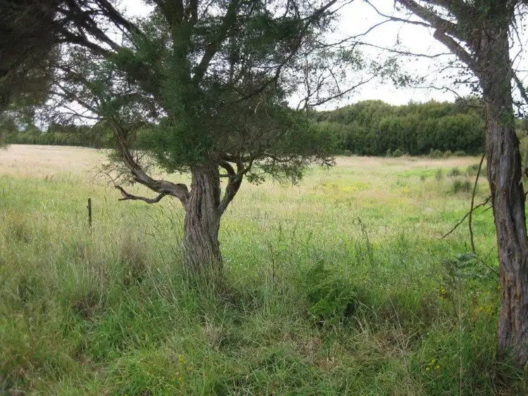 Seventh view of Homely rural property listing, 184 Dixons Road, Christmas Hills TAS 7330