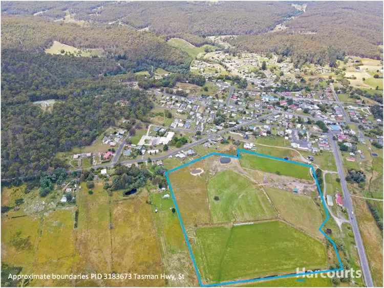 Main view of Homely rural property listing, PID 3183973 Tasman Hwy, St Marys TAS 7215