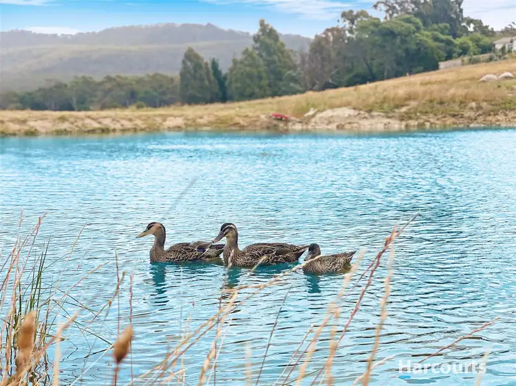 Third view of Homely rural property listing, PID 3183973 Tasman Hwy, St Marys TAS 7215