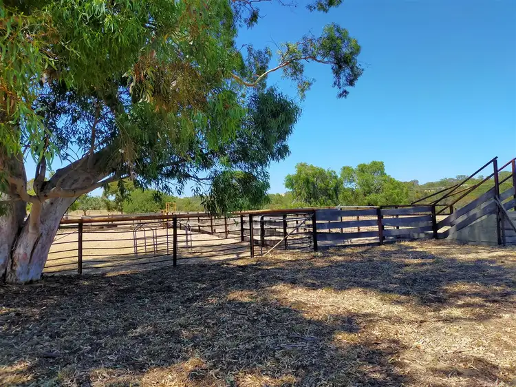Seventh view of Homely rural property listing, 714 Cowalla Road, Wanerie WA 6503
