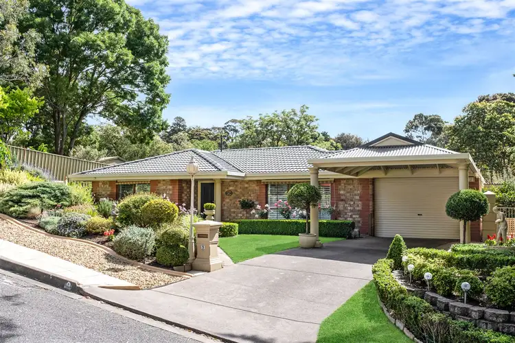 9 Buckley Crescent, Coromandel Valley SA 5051
