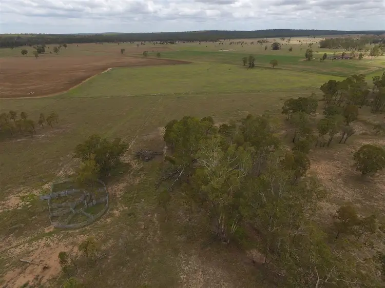 Fifth view of Homely rural property listing, 0000 Chinchilla Wondai Rd, Jandowae QLD 4410