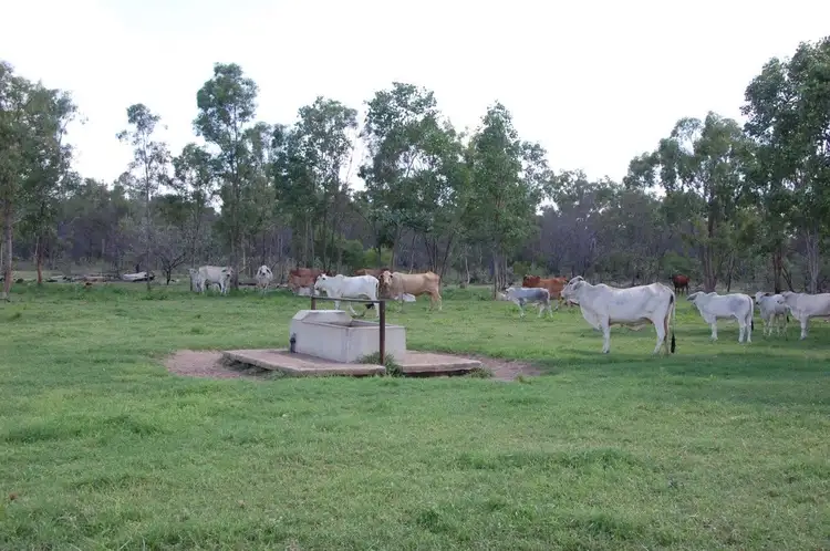 Main view of Homely rural property listing, Harvest Home Lornesleigh Road, Seventy Mile QLD 4820