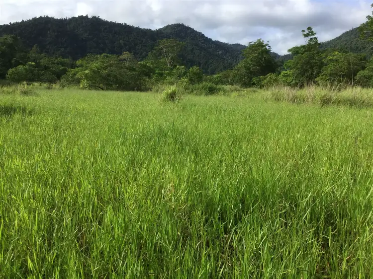 Third view of Homely rural property listing, Lot 125 Sammut Road, Japoonvale QLD 4856