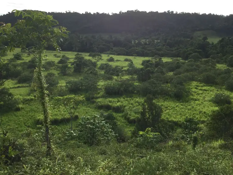 Fourth view of Homely rural property listing, Lot 125 Sammut Road, Japoonvale QLD 4856