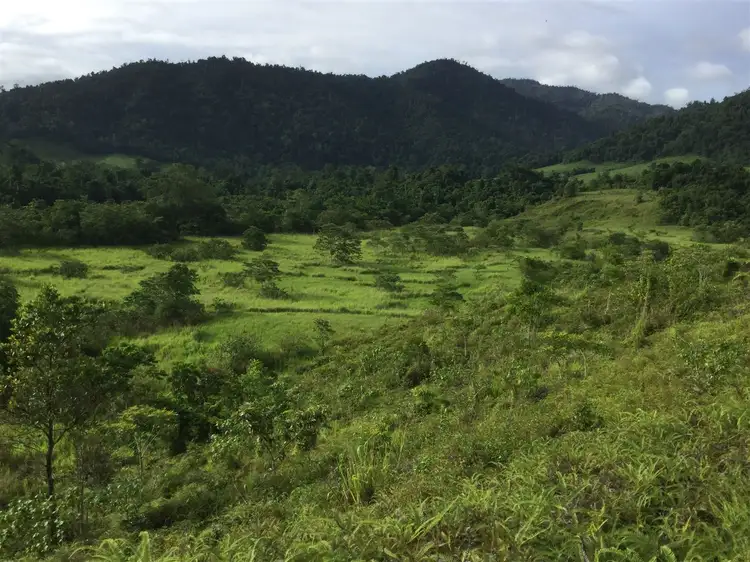 Fifth view of Homely rural property listing, Lot 125 Sammut Road, Japoonvale QLD 4856