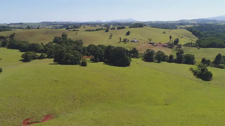 Third view of Homely rural property listing, 495 Bauld Road, Malanda QLD 4885